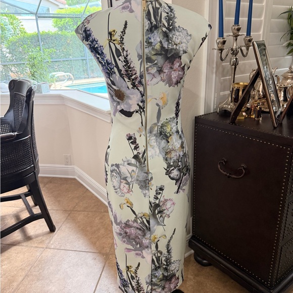 Ted Baker Pale Green Floral Midi Sheath Dress - Picture 3 of 4